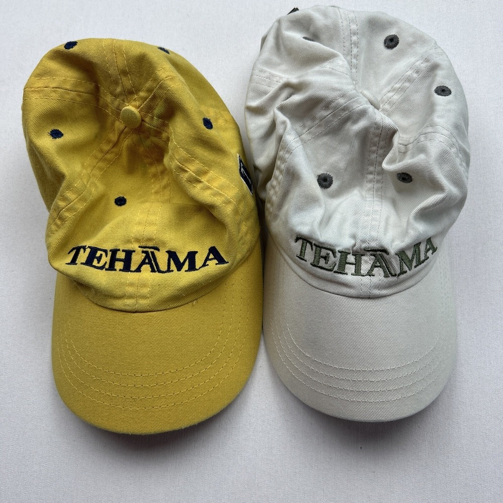 Lot‎ Of 2 Tehama Hat Cap FacDiem Meam Adjustable Strap Golf